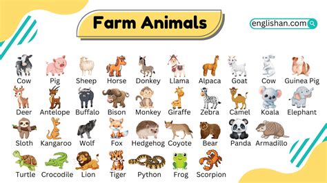 longest farmyard animal name|Iba pa.